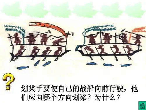 牛顿第三定律(PPt)