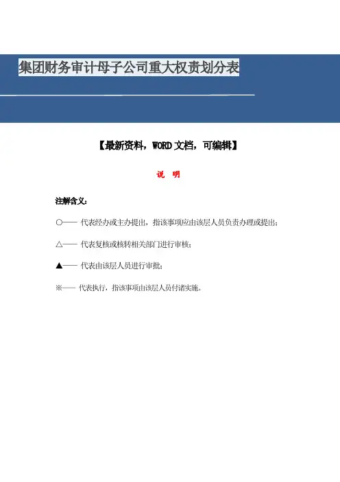 集团财务审计母子公司重大权责划分表