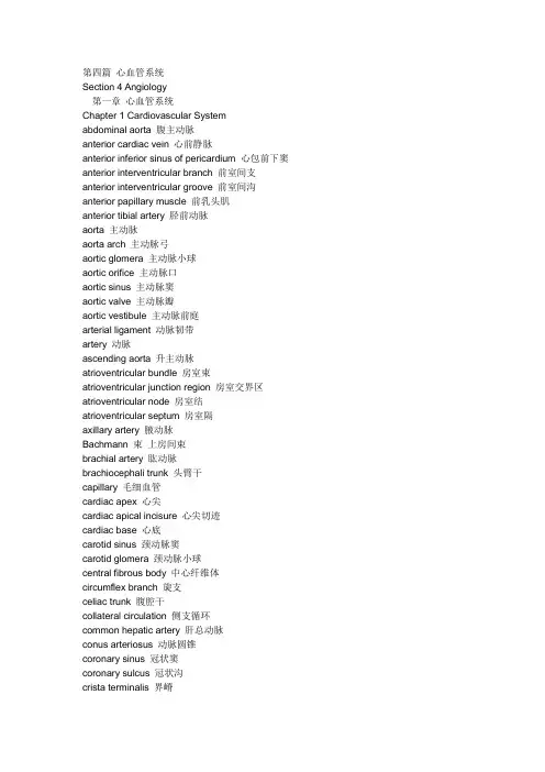 19心血管系统英文单词