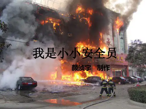我是小小安全员