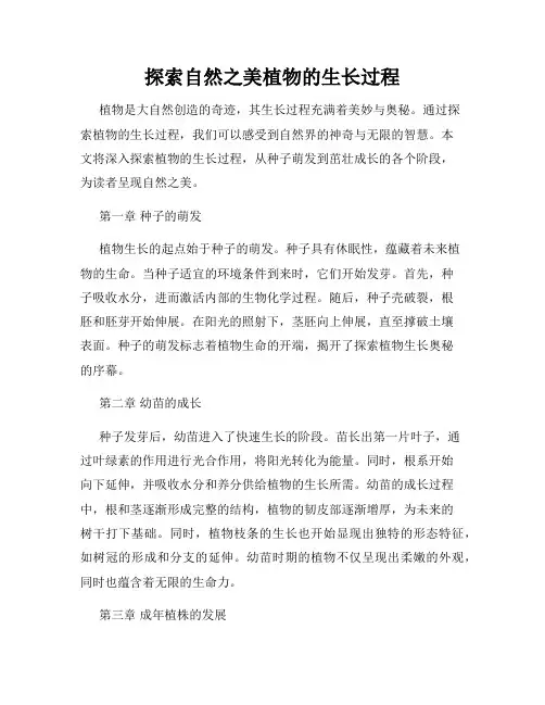 探索自然之美植物的生长过程
