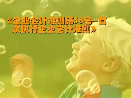 第13讲：首次执行企业会计准则