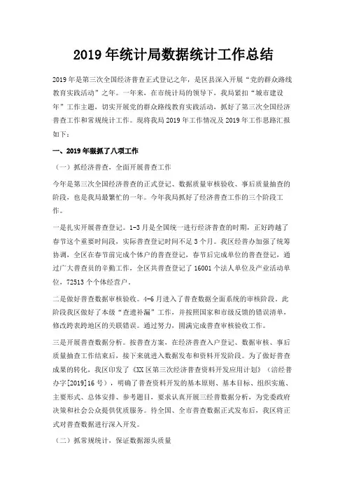 最新-2019年统计局数据统计工作总结 精品