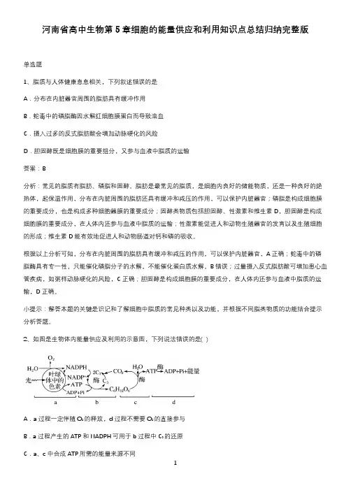 河南省高中生物第5章细胞的能量供应和利用知识点总结归纳完整版