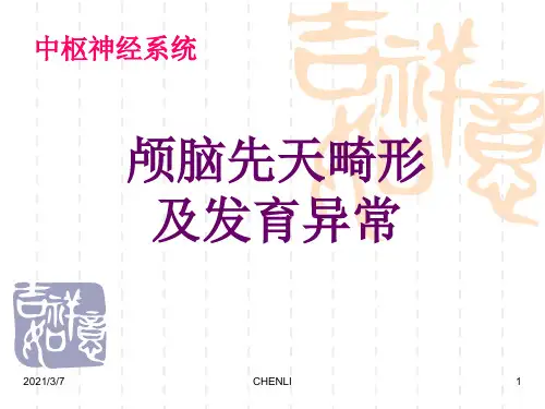 颅脑先天畸形PPT课件