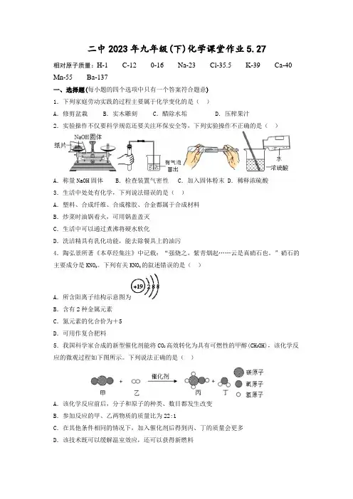 湖北省武汉市武汉二中广雅中学2022-2023学年下学期九年级课堂化学作业 