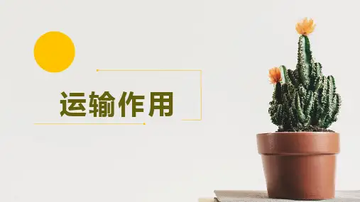 生物北师大版七年级上册第3单元第5章第5节运输作用PPT课件