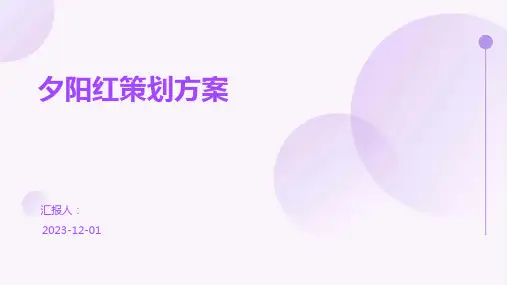 夕阳红策划方案