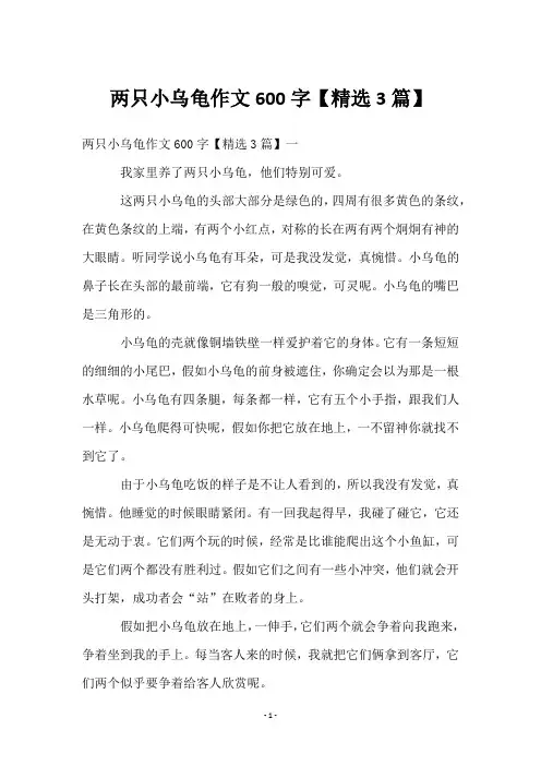 两只小乌龟作文600字【3篇】