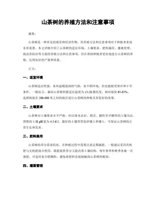山茶树的养殖方法和注意事项