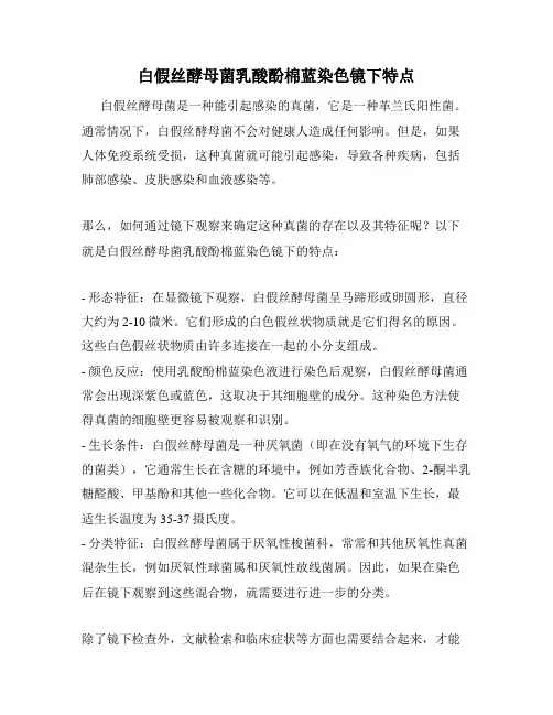 白假丝酵母菌乳酸酚棉蓝染色镜下特点