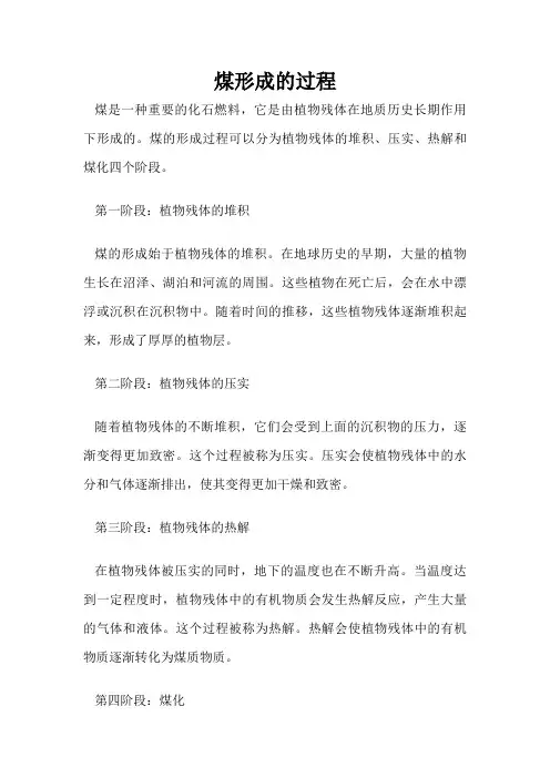 煤形成的过程