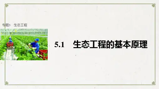 高中生物专题5生态工程5.1生态工程的基本原理课件新人教版选修3