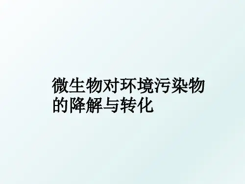 微生物对环境污染物的降解与转化