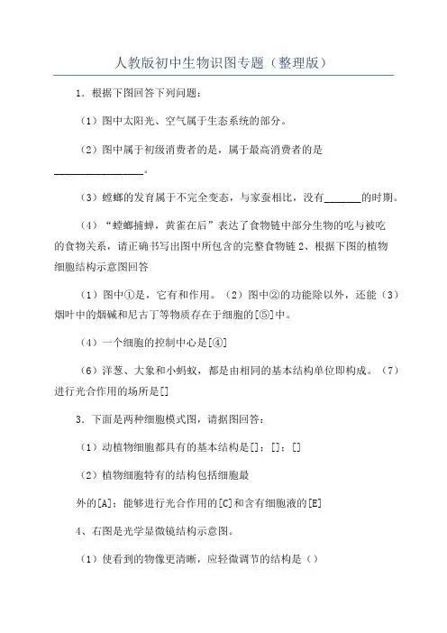 人教版初中生物识图专题(整理版)
