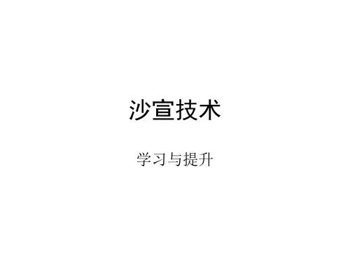 沙宣技术