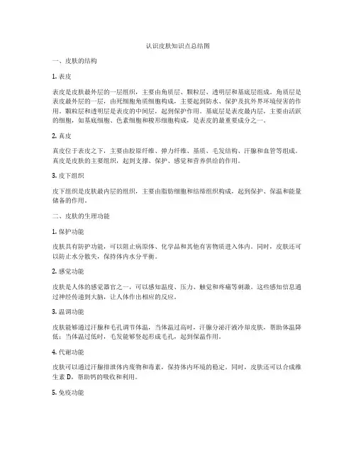 认识皮肤知识点总结图