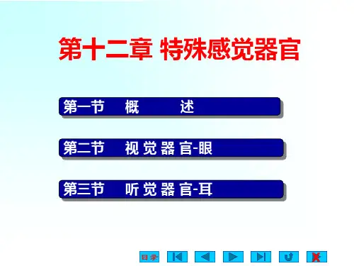 特殊感觉器官