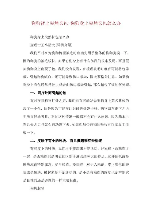 狗狗背上突然长包-狗狗身上突然长包怎么办