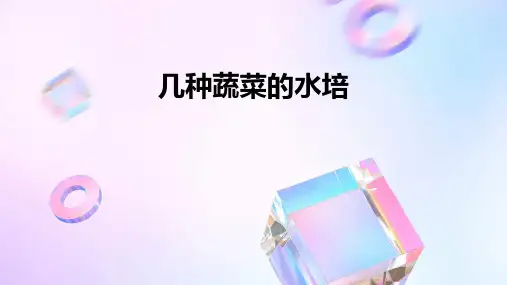 几种蔬菜的水培课件