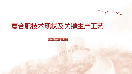 复合肥技术现状及关键生产工艺