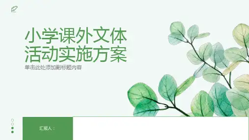 小学课外文体活动实施方案