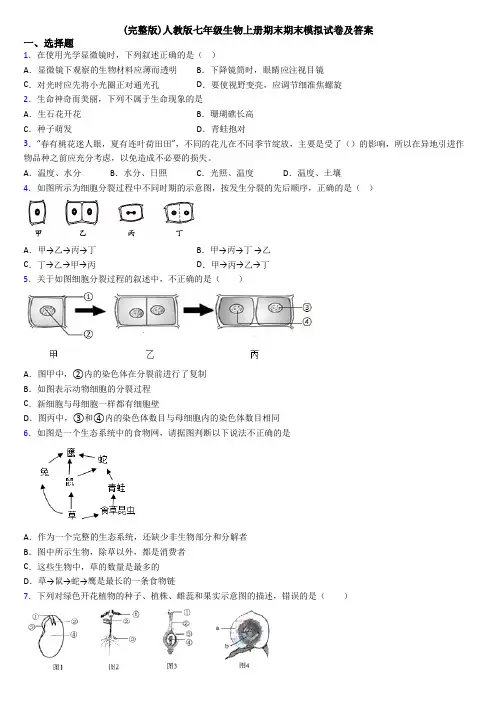 (完整版)人教版七年级生物上册期末期末模拟试卷及答案