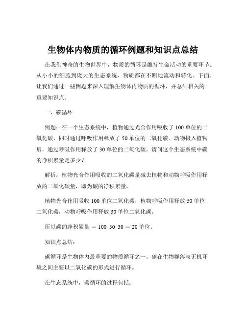 生物体内物质的循环例题和知识点总结