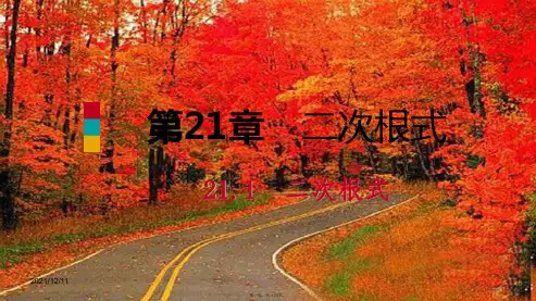 九年级数学上册 第21章 二次根式 21.1 二次根式 1 二次根式课件