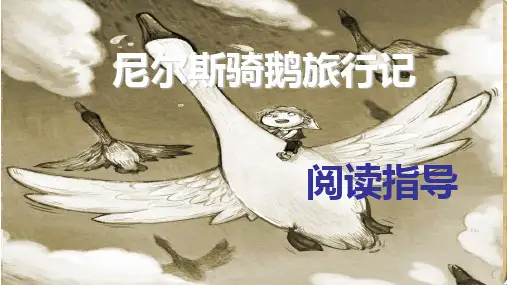 尼尔斯骑鹅旅行记阅读指导PPT课件