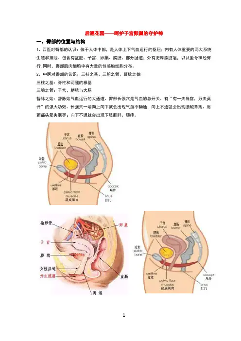 臀部保养套