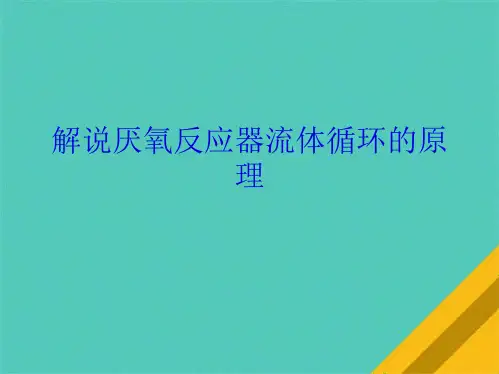 解说厌氧反应器流体循环的原理(共9张PPT)