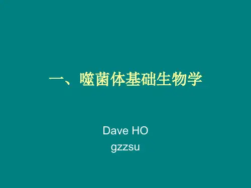 噬菌体检测技术