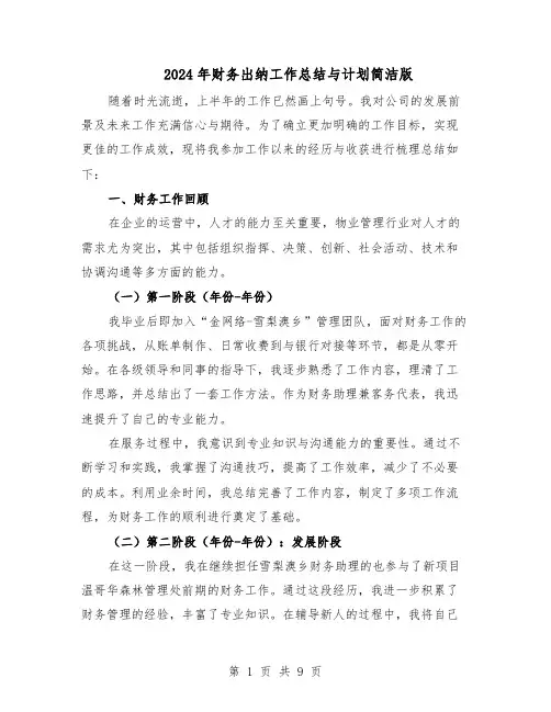 2024年财务出纳工作总结与计划简洁版（5篇）