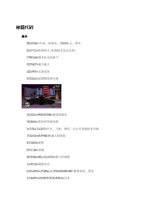 侠盗猎车圣安地列斯秘籍大全(配图)【范本模板】