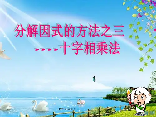 《分解因式-十字相乘法》完整版本课件