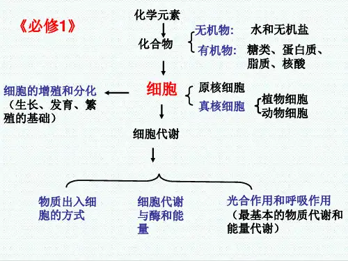 高中生物课件-浙科版高中生物必修1第三章《细胞的代谢