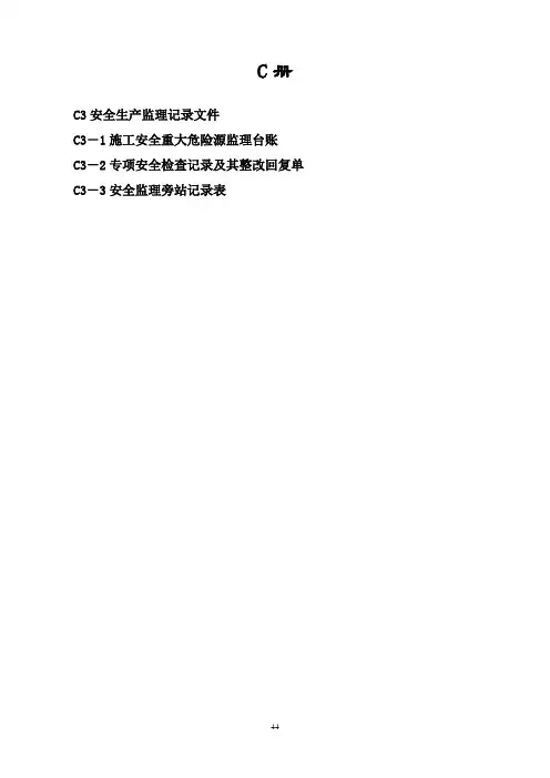 安全台帐表格C册
