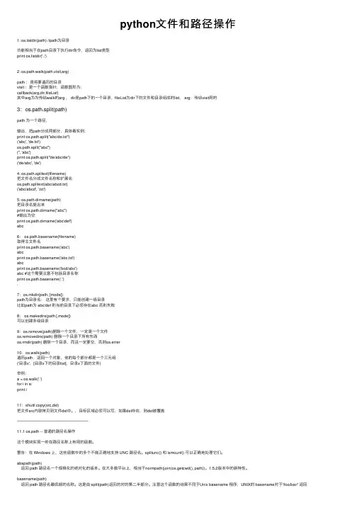 python文件和路径操作
