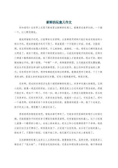 新鲜的玩意儿作文
