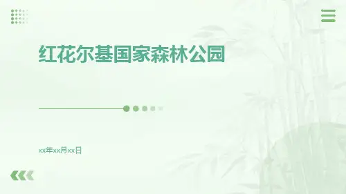 红花尔基国家森林公园