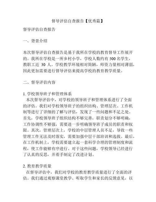 督导评估自查报告【优秀篇】