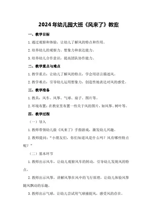 2024年幼儿园大班《风来了》教案