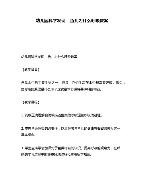 幼儿园科学发现—鱼儿为什么呼吸教案
