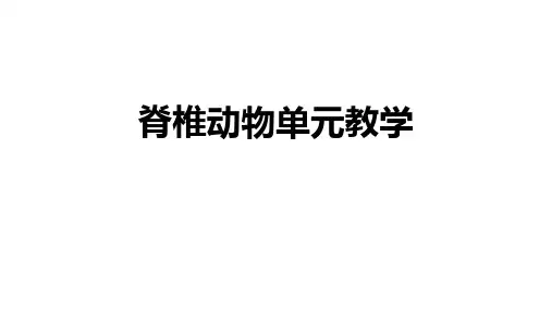 人教版八年级上册生物 第一章 动物的主要类群第4-7节 脊椎动物复习课件(共32张ppt)