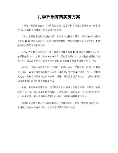 月季扦插育苗实施方案