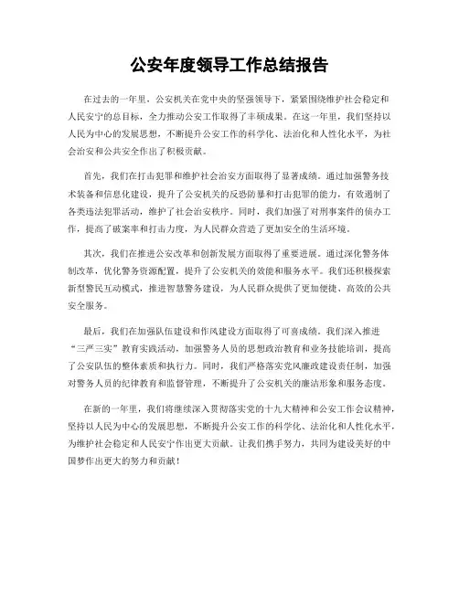 公安年度领导工作总结报告