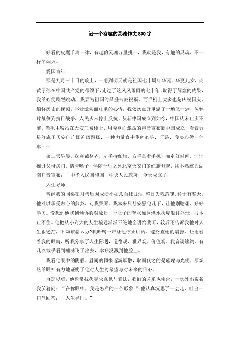 记一个有趣的灵魂作文800字