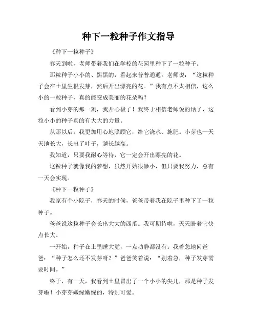 种下一粒种子作文指导