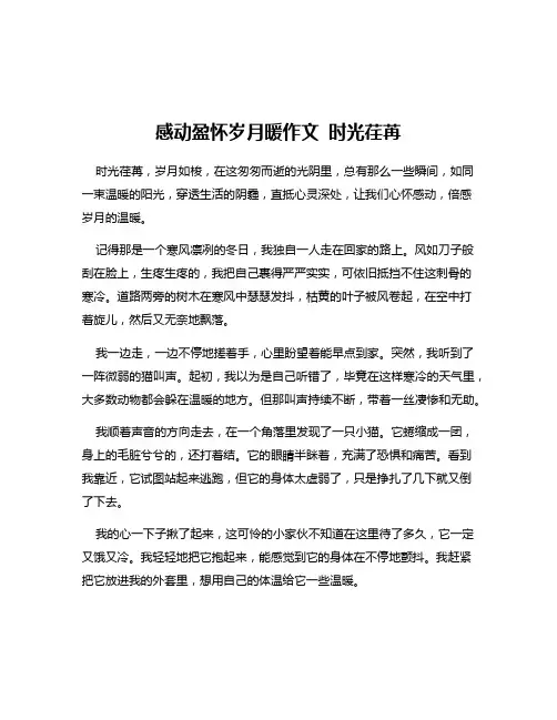 感动盈怀岁月暖作文 时光荏苒